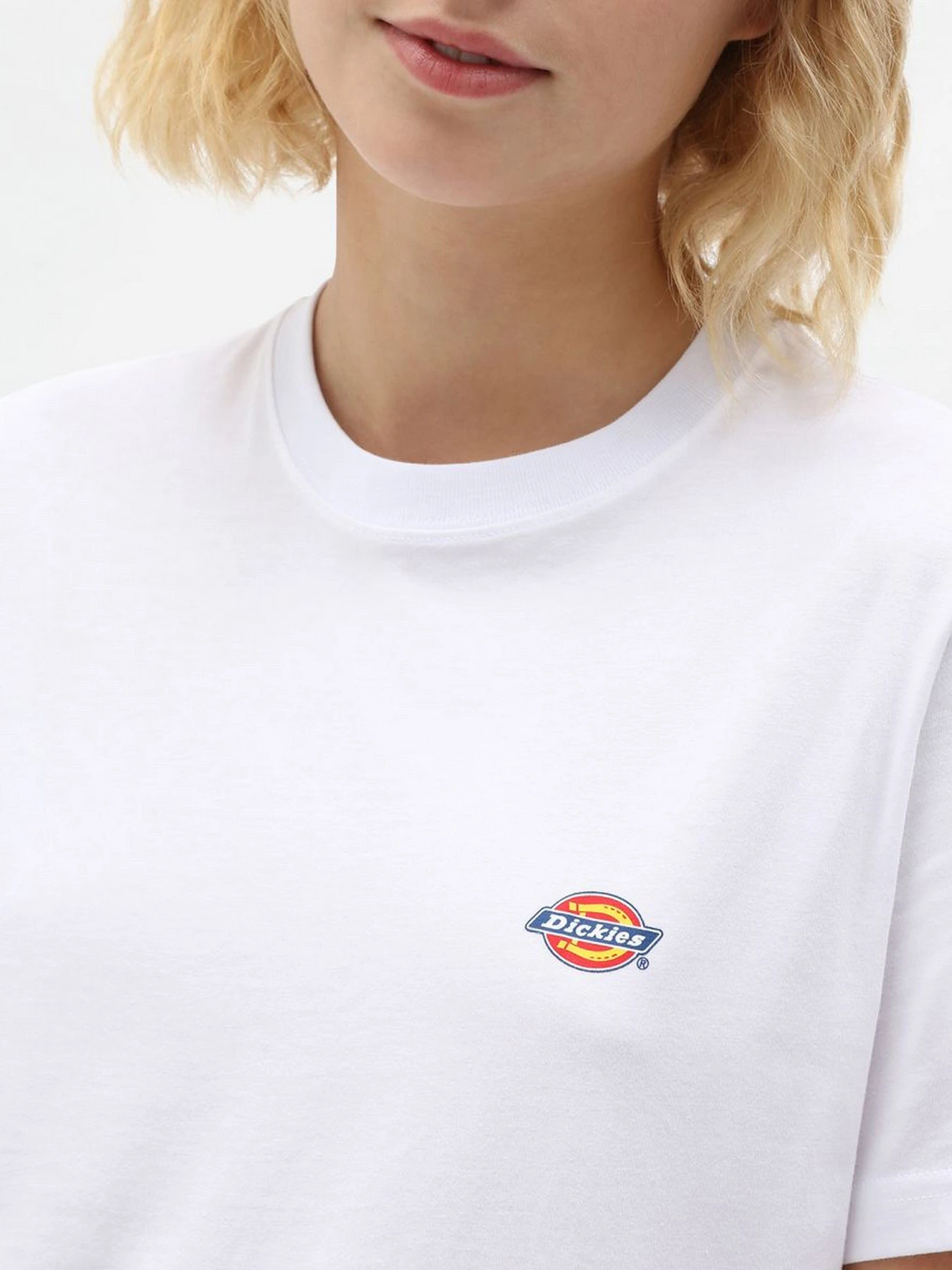 Футболки и поло Dickies Mapleton модель DK0A4XDAWHX1 Футболки и поло Dickies Mapleton модель DK0A4XDAWHX1 Фото