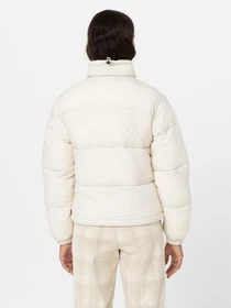 Куртки та дублянки Dickies Alatna модель DK0A4XP3F901 Фото