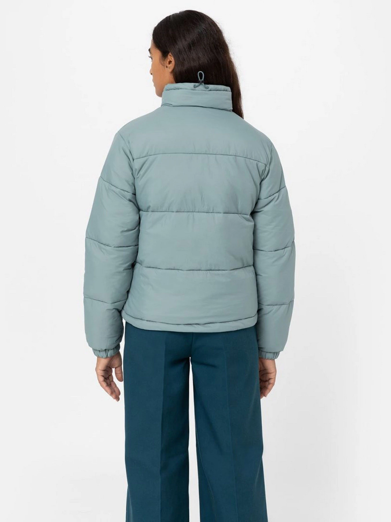 Куртки та дублянки Dickies Alatna модель DK0A4XP3G071 Куртки та дублянки Dickies Alatna модель DK0A4XP3G071 Фото