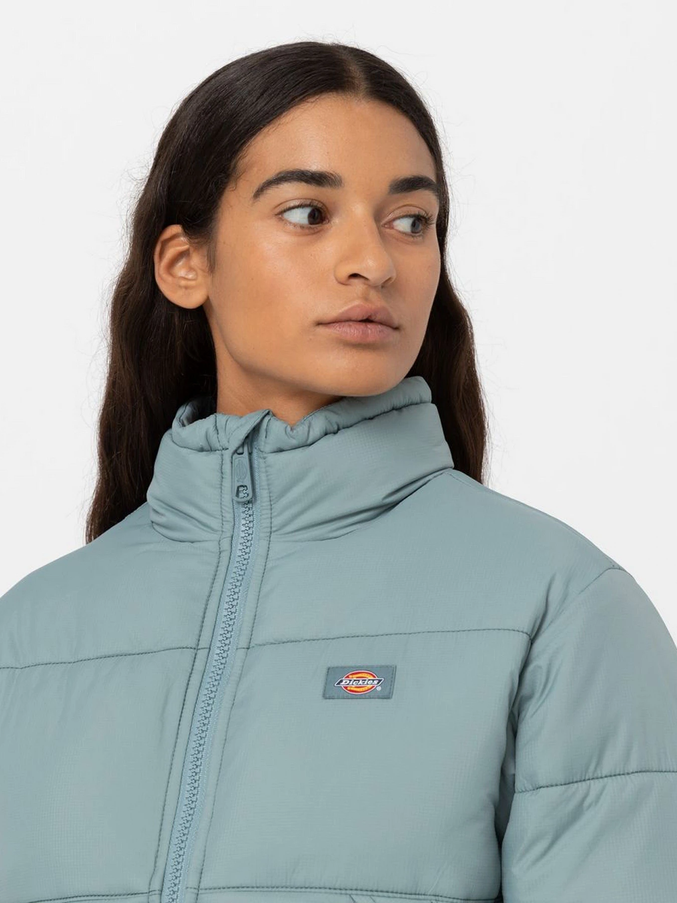 Куртки та дублянки Dickies Alatna модель DK0A4XP3G071 Куртки та дублянки Dickies Alatna модель DK0A4XP3G071 Фото
