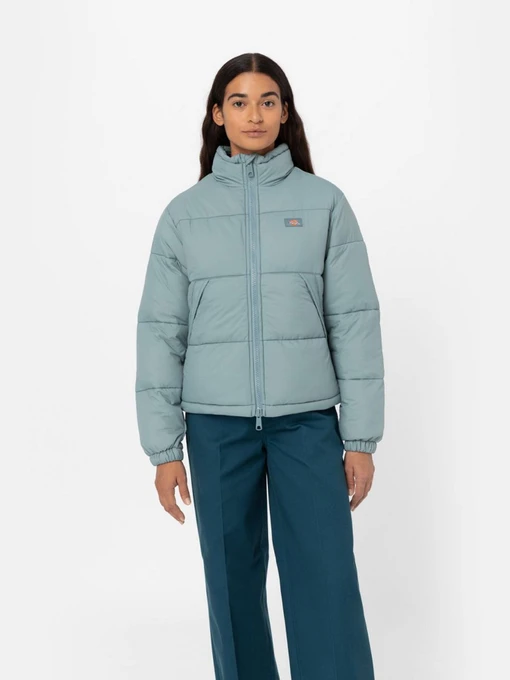 Куртки и дубленки Dickies Alatna модель DK0A4XP3G071 Фото