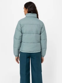Куртки та дублянки Dickies Alatna модель DK0A4XP3G071 Фото