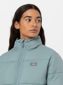 Куртки та дублянки Dickies Alatna модель DK0A4XP3G071 Фото