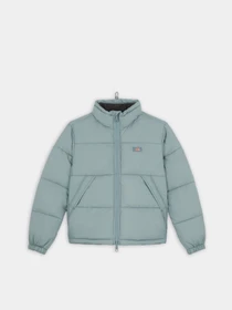 Куртки та дублянки Dickies Alatna модель DK0A4XP3G071 Фото