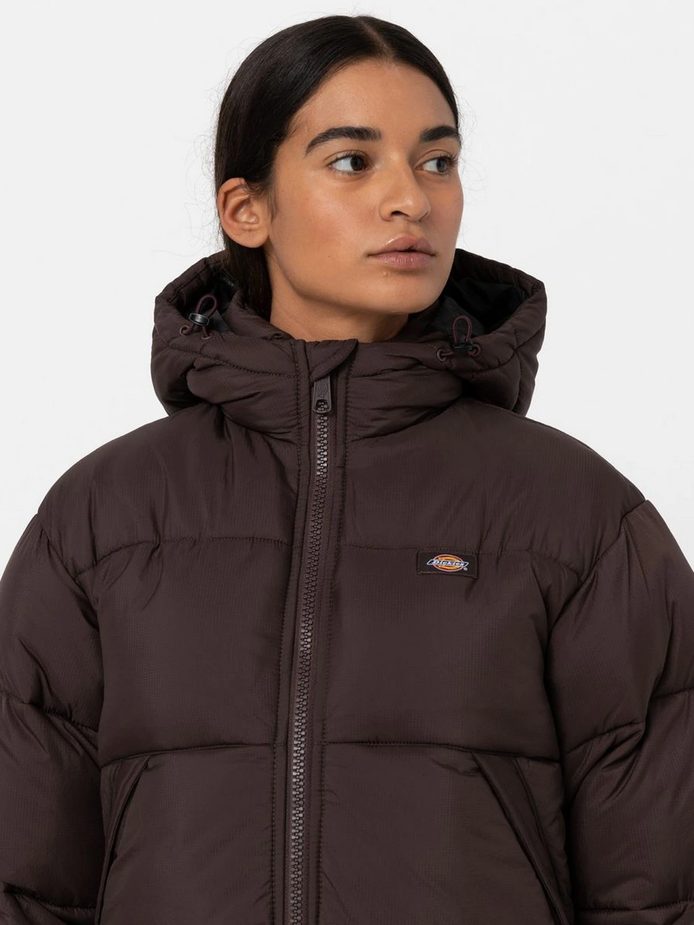 Куртки та дублянки Dickies Alatna Long модель DK0A4XR9D711 Куртки та дублянки Dickies Alatna Long модель DK0A4XR9D711 Фото