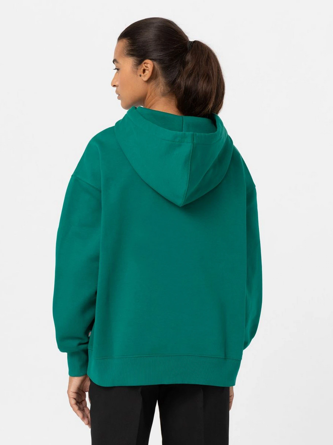 Худи и свитшоты Dickies Summerdale модель DK0A4XYWF961 Фото
