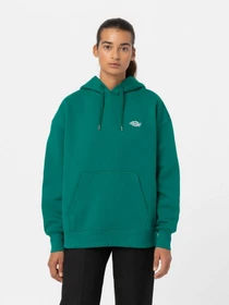Худи и свитшоты Dickies Summerdale модель DK0A4XYWF961 Фото
