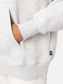 Худі та світшоти Dickies Summerdale модель DK0A4XYWA281 Фото
