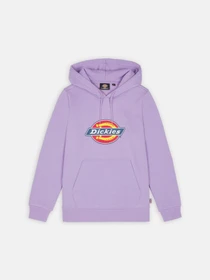 Худі та світшоти Dickies Icon Logo модель DK0A4XCCE611 Фото