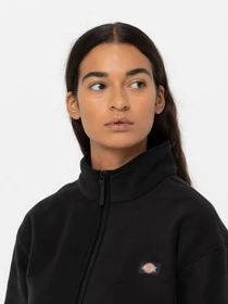 Худі та світшоти Dickies LOUISBURG модель DK0A4YGMBLK1 Фото