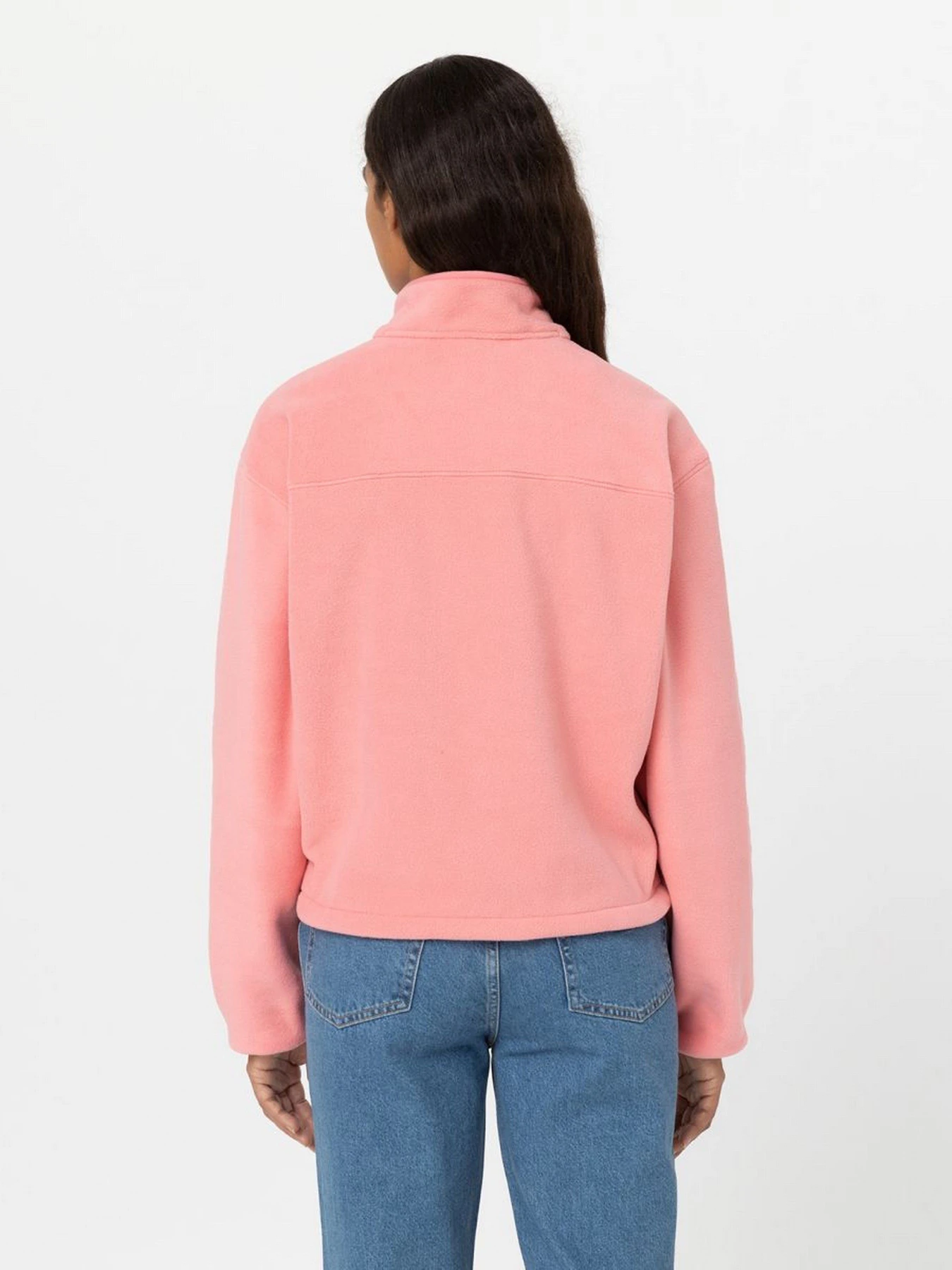Худи и свитшоты Dickies LOUISBURG модель DK0A4YGMG021 Фото