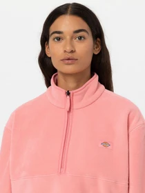 Худи и свитшоты Dickies LOUISBURG модель DK0A4YGMG021 Фото