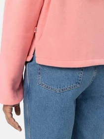 Худи и свитшоты Dickies LOUISBURG модель DK0A4YGMG021 Фото