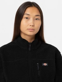 Худи и свитшоты Dickies MOUNT HOPE FLEECE модель DK0A4YGNBLK1 Фото