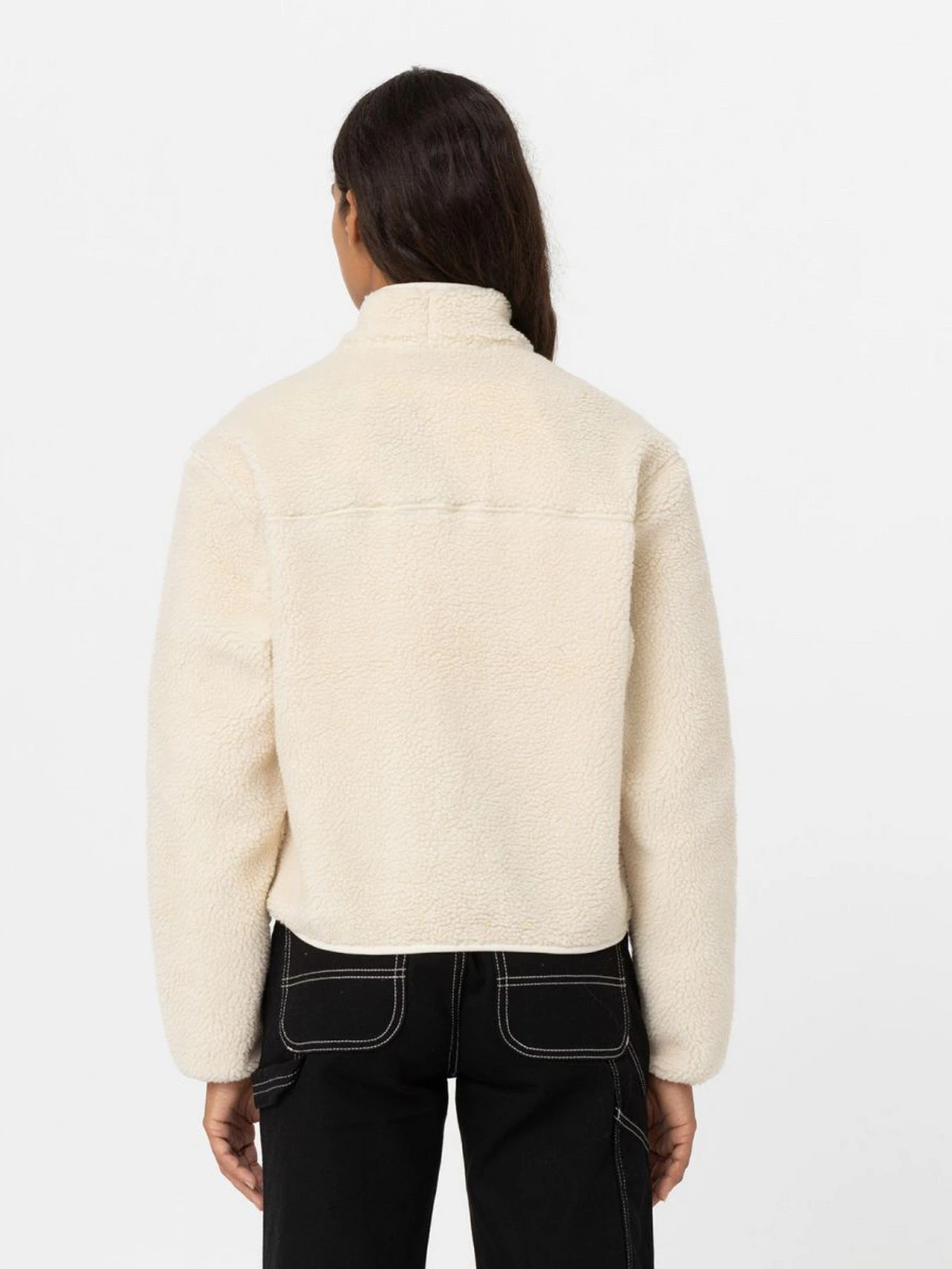 Худі та світшоти Dickies MOUNT HOPE FLEECE модель DK0A4YGNF901 Худі та світшоти Dickies MOUNT HOPE FLEECE модель DK0A4YGNF901 Фото