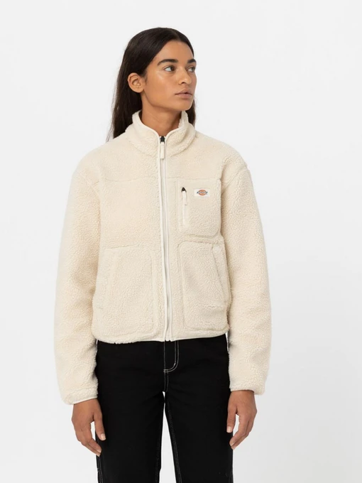 Худі та світшоти Dickies MOUNT HOPE FLEECE модель DK0A4YGNF901 Фото