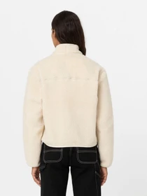 Худі та світшоти Dickies MOUNT HOPE FLEECE модель DK0A4YGNF901 Фото
