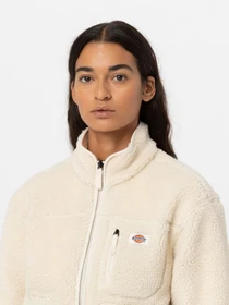 Худі та світшоти Dickies MOUNT HOPE FLEECE модель DK0A4YGNF901 Фото