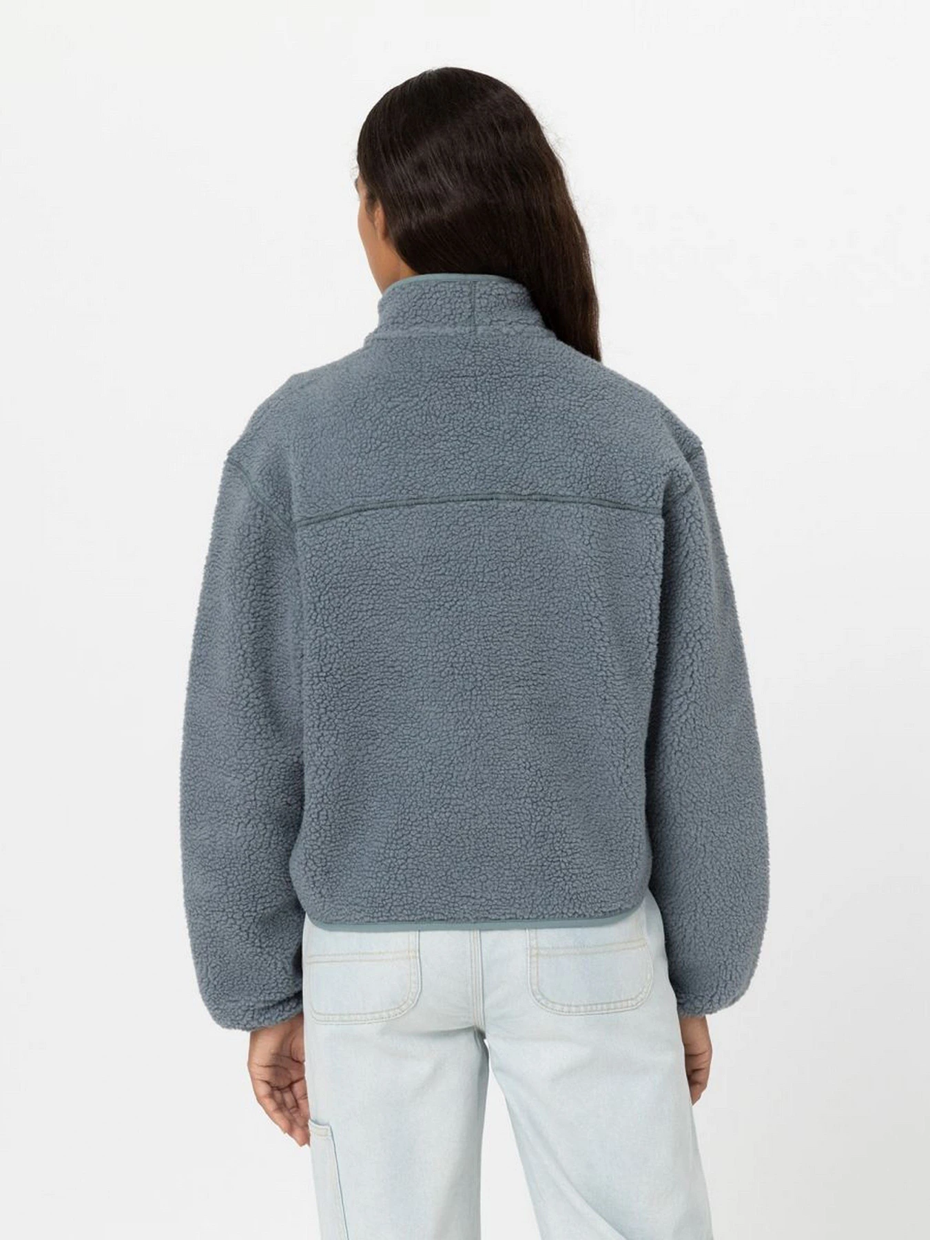 Худі та світшоти Dickies MOUNT HOPE FLEECE модель DK0A4YGNG071 Худі та світшоти Dickies MOUNT HOPE FLEECE модель DK0A4YGNG071 Фото