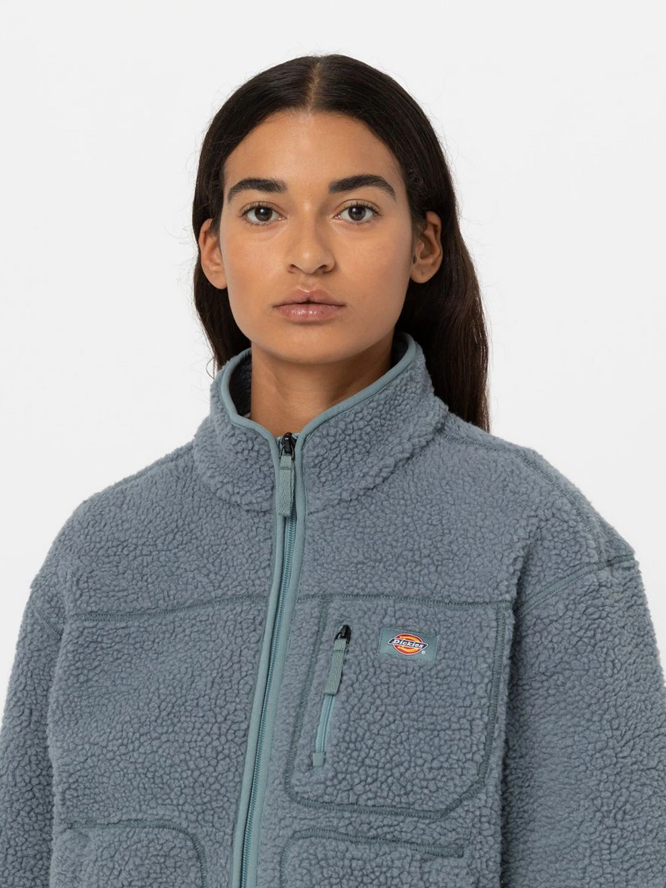 Худі та світшоти Dickies MOUNT HOPE FLEECE модель DK0A4YGNG071 Худі та світшоти Dickies MOUNT HOPE FLEECE модель DK0A4YGNG071 Фото