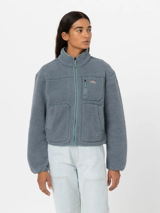 Худи и свитшоты Dickies MOUNT HOPE FLEECE модель DK0A4YGNG071 Фото