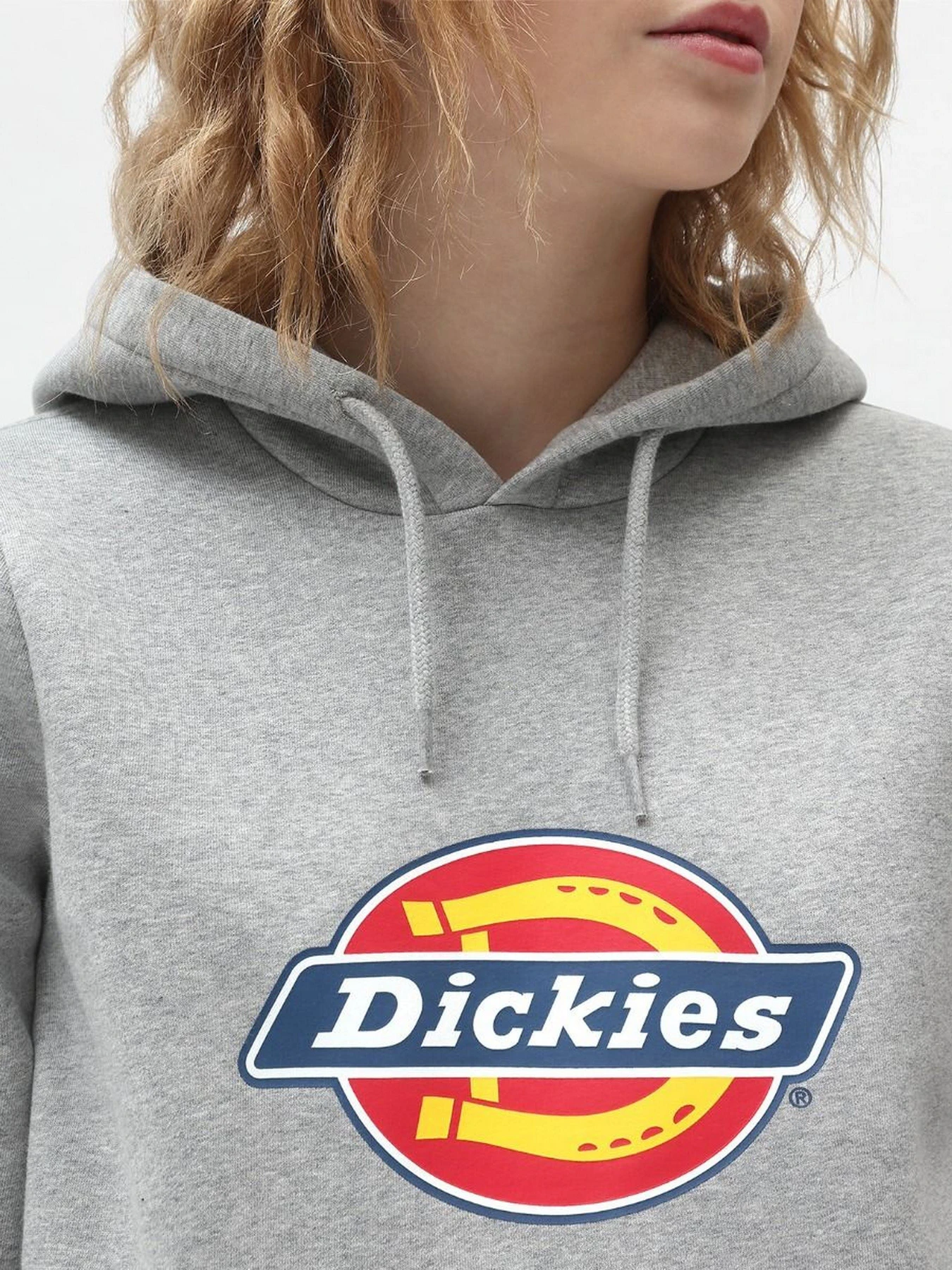 Худи и свитшоты Dickies Icon Logo модель DK0A4XCCGYM1 Худи и свитшоты Dickies Icon Logo модель DK0A4XCCGYM1 Фото