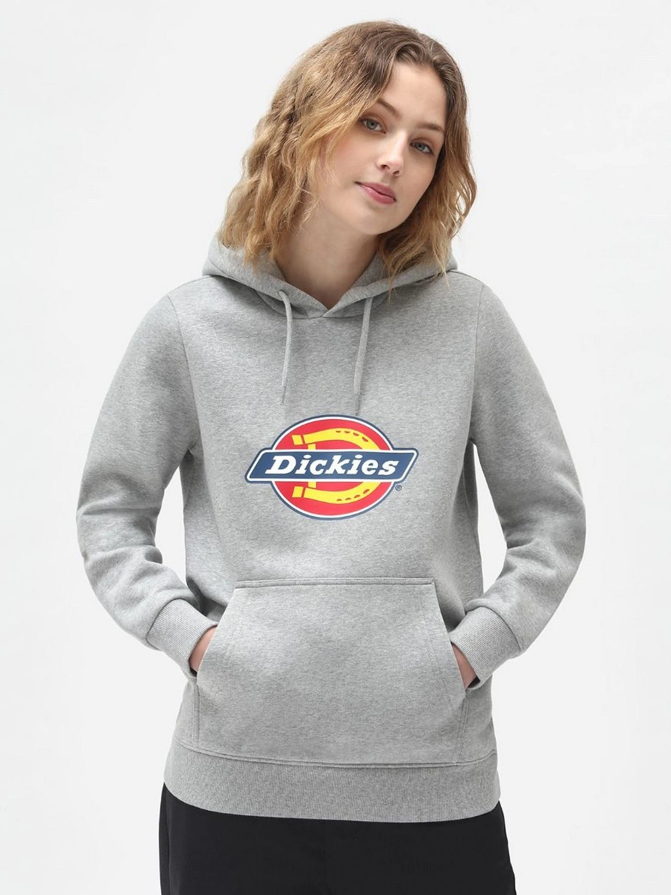 Худи и свитшоты Dickies Icon Logo модель DK0A4XCCGYM1 Худи и свитшоты Dickies Icon Logo модель DK0A4XCCGYM1 Фото