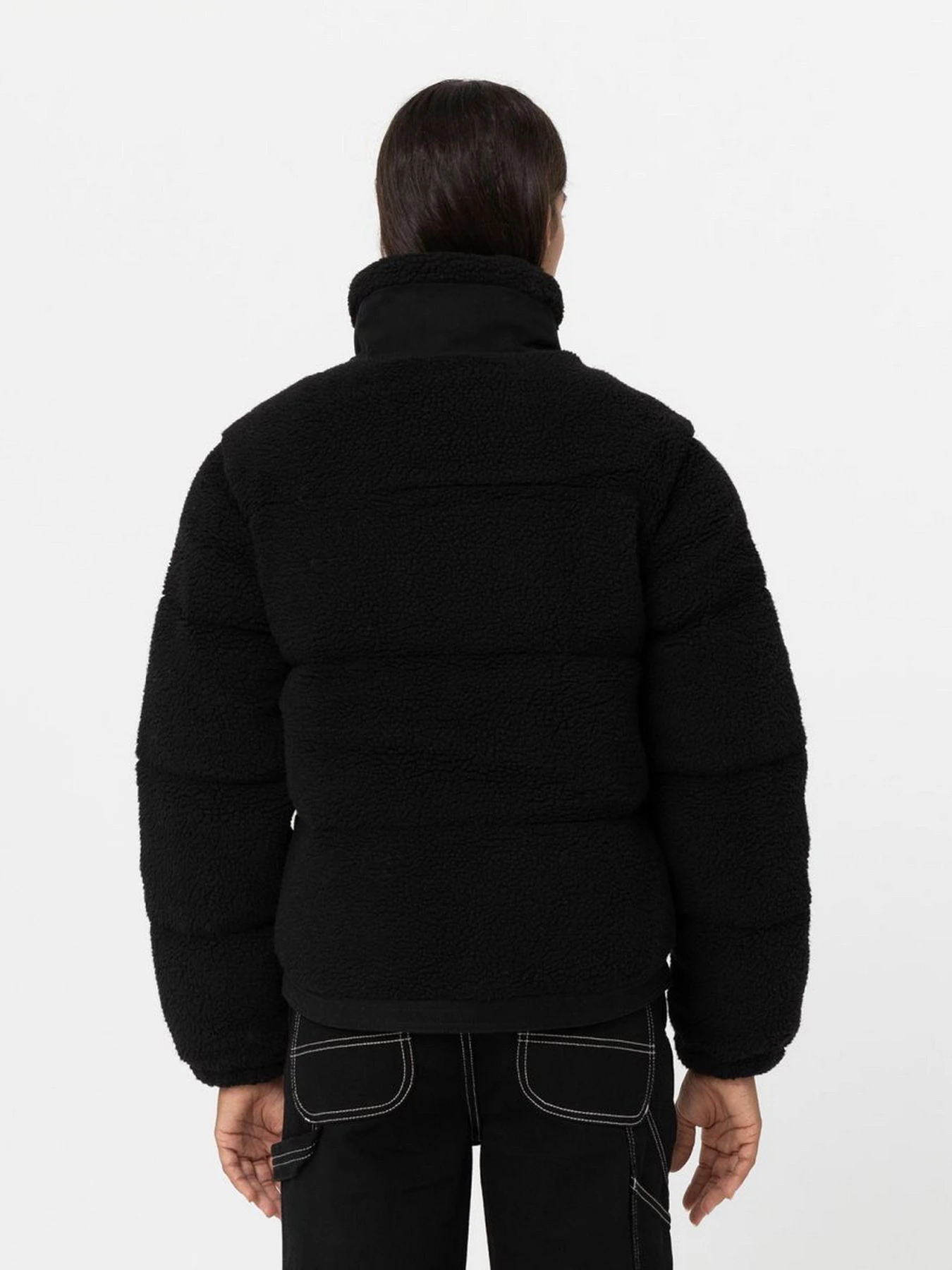 Куртки та дублянки Dickies Mount Hope модель DK0A4YGYBLK1 Куртки та дублянки Dickies Mount Hope модель DK0A4YGYBLK1 Фото