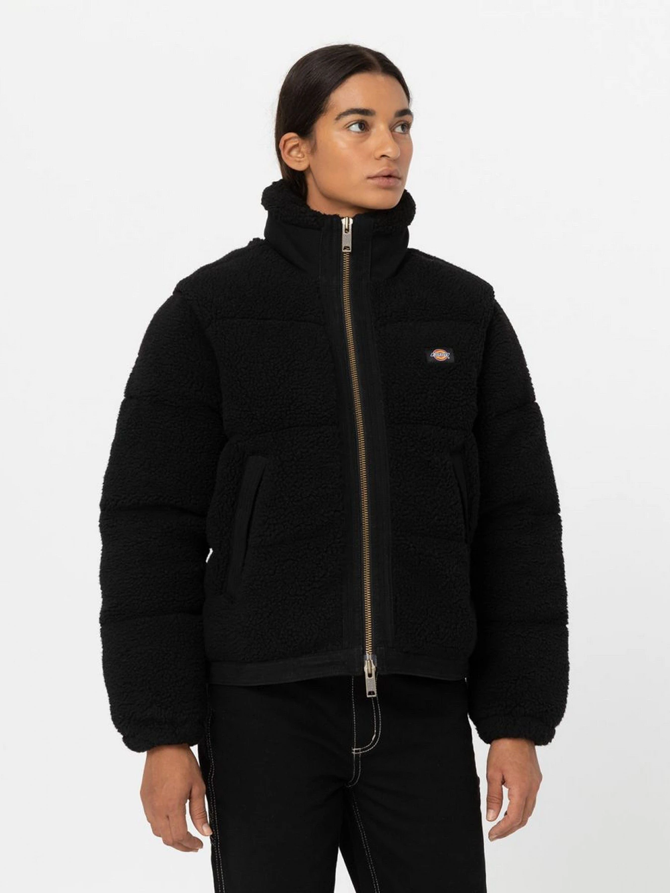 Куртки та дублянки Dickies Mount Hope модель DK0A4YGYBLK1 Куртки та дублянки Dickies Mount Hope модель DK0A4YGYBLK1 Фото