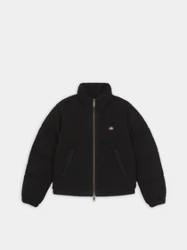Куртки та дублянки Dickies Mount Hope модель DK0A4YGYBLK1 Фото