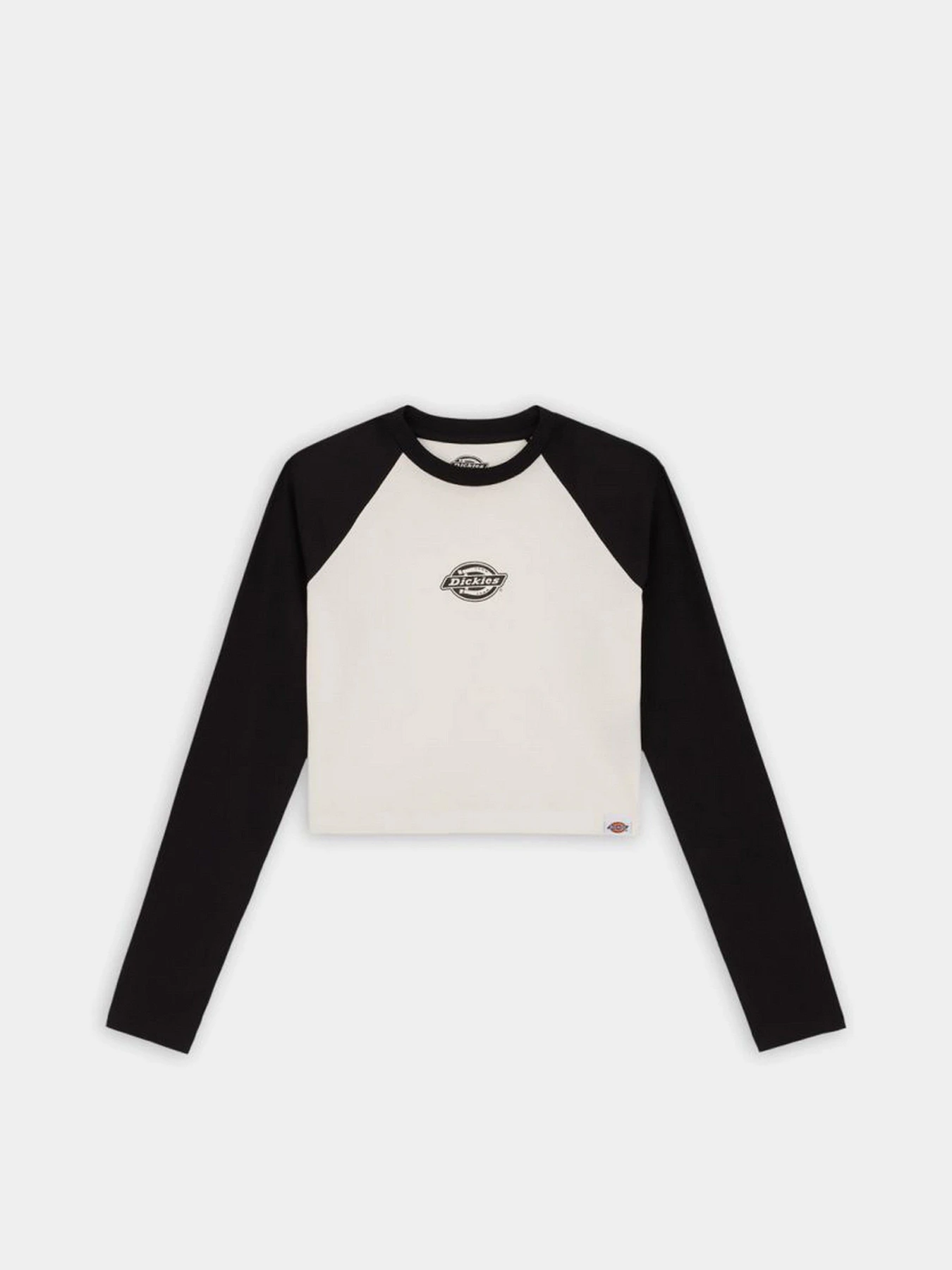 Худи и свитшоты Dickies Sodaville Tee Ls модель DK0A4YHGBLK1 Фото