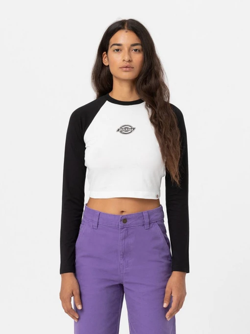 Худі та світшоти Dickies Sodaville Tee Ls модель DK0A4YHGBLK1 Фото