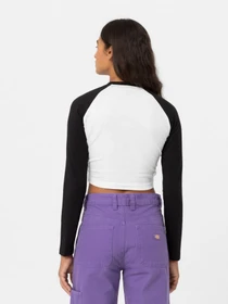 Худи и свитшоты Dickies Sodaville Tee Ls модель DK0A4YHGBLK1 Фото