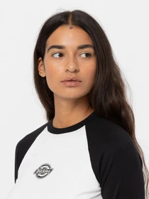 Худи и свитшоты Dickies Sodaville Tee Ls модель DK0A4YHGBLK1 Фото