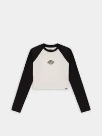 Худи и свитшоты Dickies Sodaville Tee Ls модель DK0A4YHGBLK1 Фото