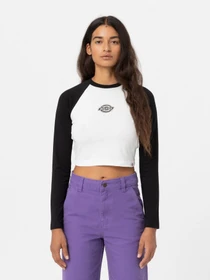 Худи и свитшоты Dickies Sodaville Tee Ls модель DK0A4YHGBLK1 Фото