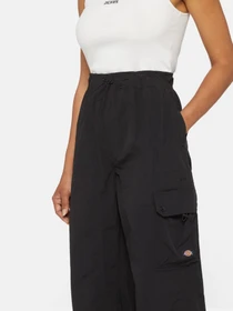 Брюки Dickies Jackson модель DK0A4YJCBLK1 Фото