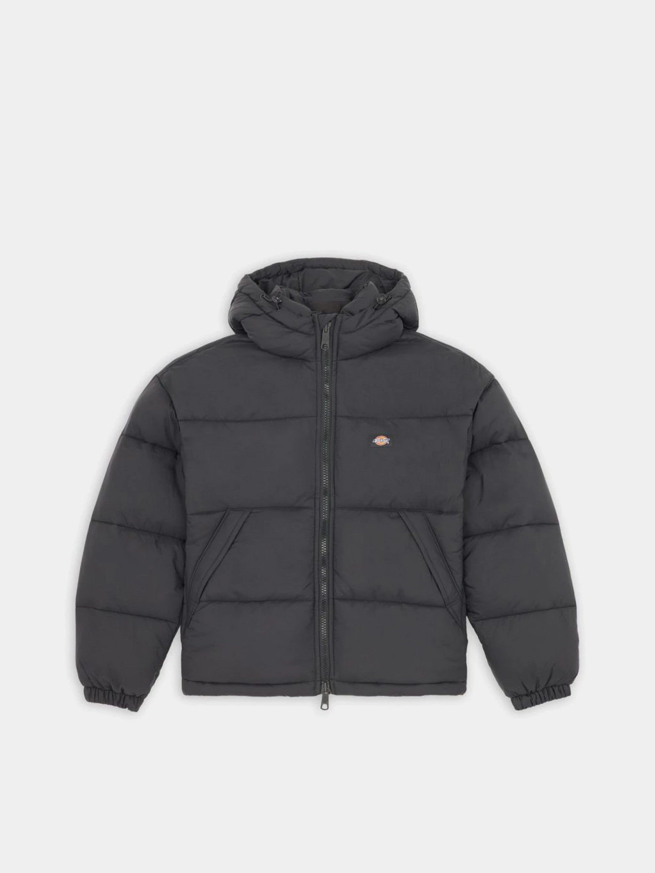 Куртки и дубленки Dickies ALATNA OVERSIZED модель DK0A4YJUBLK1 Куртки и дубленки Dickies ALATNA OVERSIZED модель DK0A4YJUBLK1 Фото