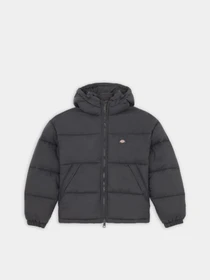 Куртки и дубленки Dickies ALATNA OVERSIZED модель DK0A4YJUBLK1 Фото