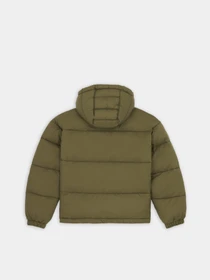 Куртки та дублянки Dickies ALATNA OVERSIZED модель DK0A4YJUMGR1 Фото