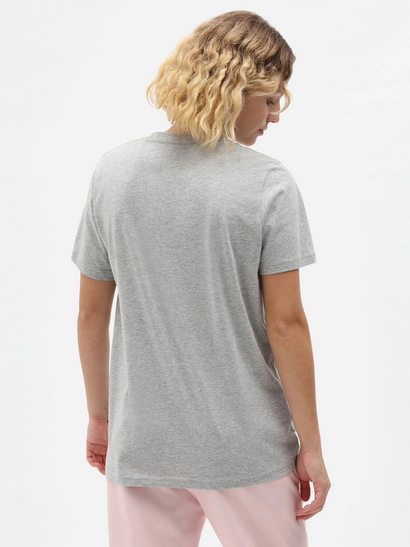 Футболки и поло Dickies Mapleton Cotton-blend модель DK0A4XDAGYM1 Футболки и поло Dickies Mapleton Cotton-blend модель DK0A4XDAGYM1 Фото