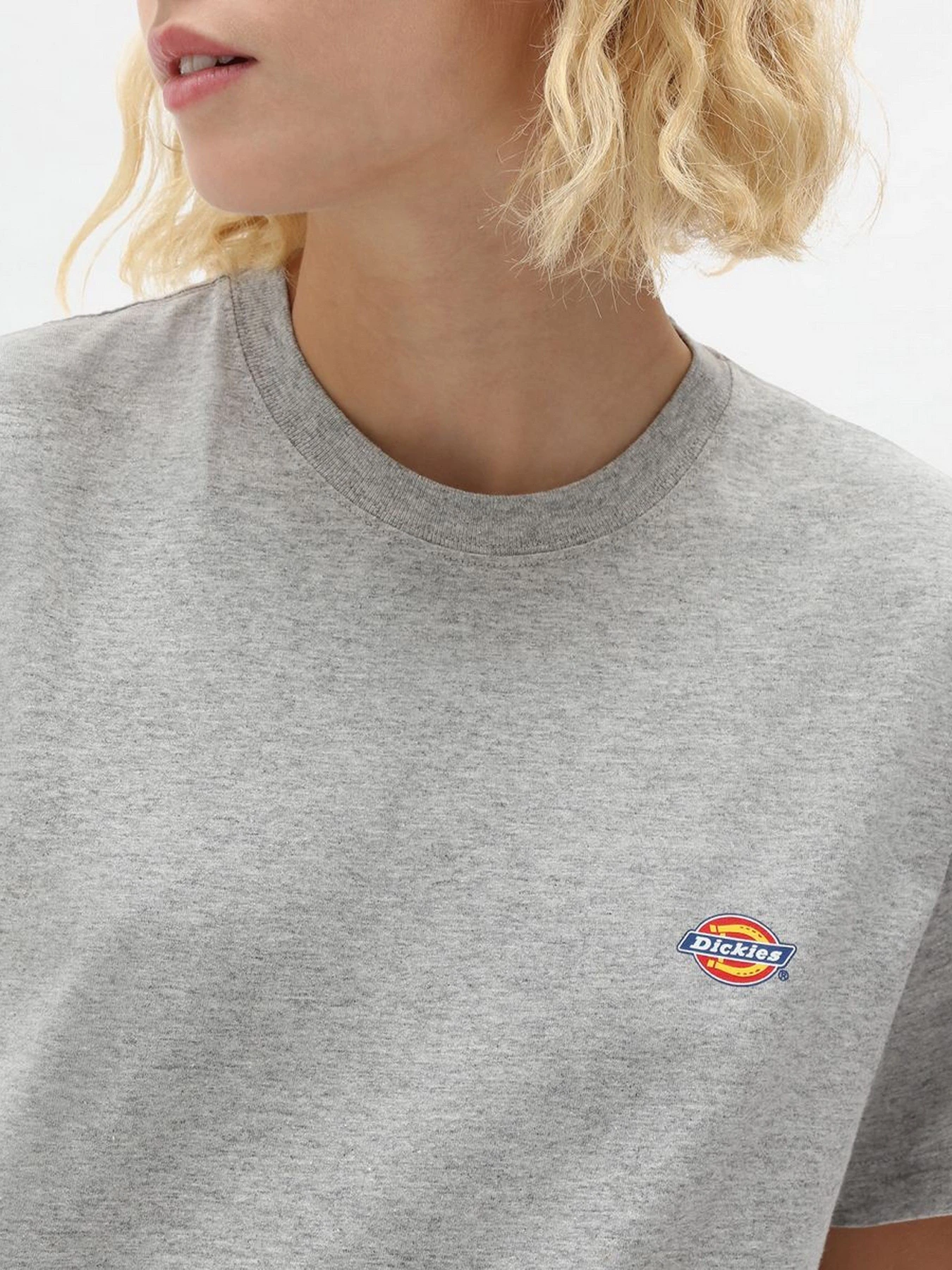 Футболки и поло Dickies Mapleton Cotton-blend модель DK0A4XDAGYM1 Футболки и поло Dickies Mapleton Cotton-blend модель DK0A4XDAGYM1 Фото