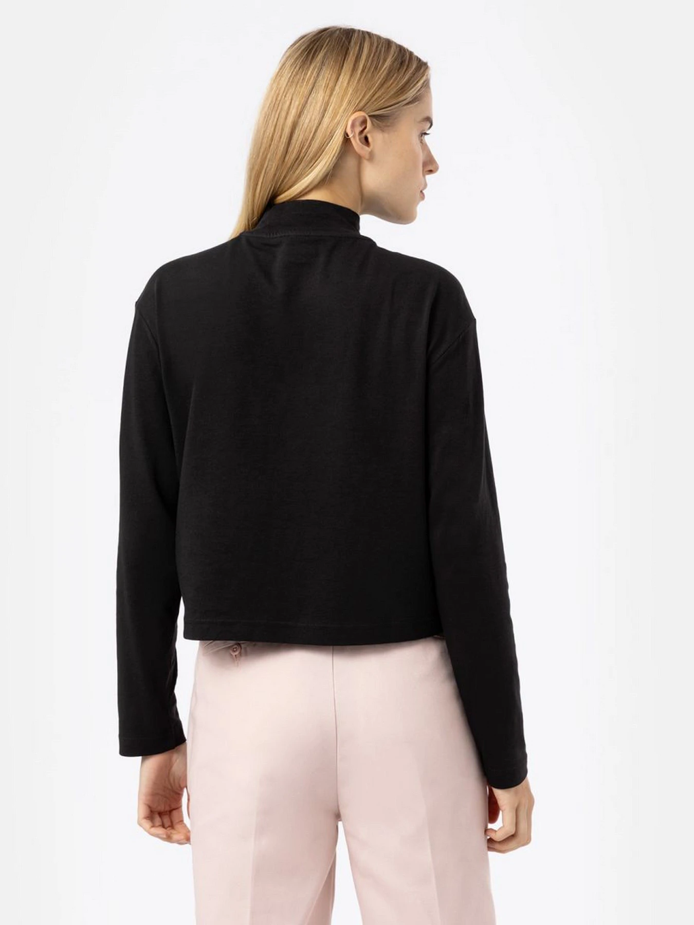 Худи и свитшоты Dickies Mapleton High Neck модель DK0A4Y2JBLK1 Фото
