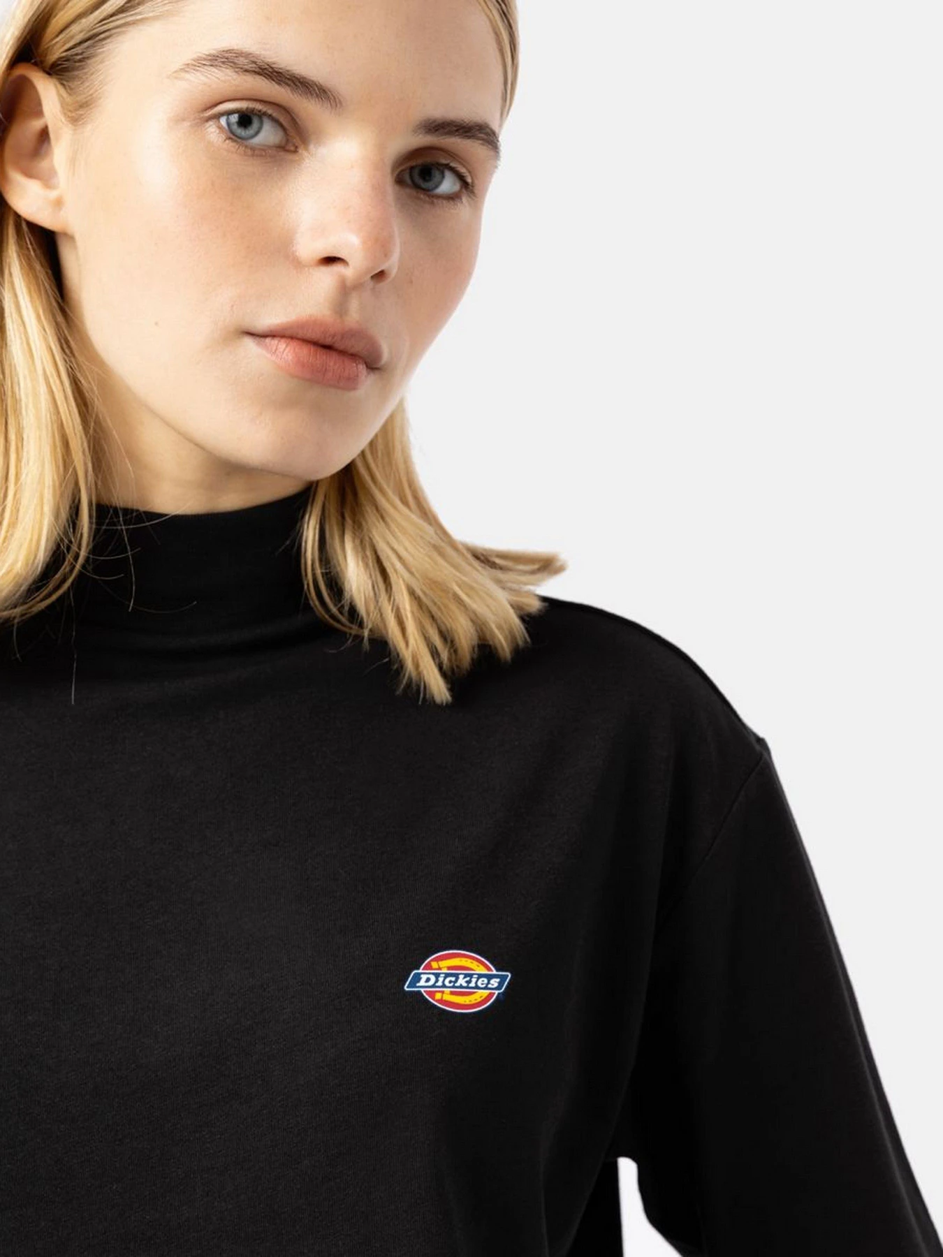 Худи и свитшоты Dickies Mapleton High Neck модель DK0A4Y2JBLK1 Фото