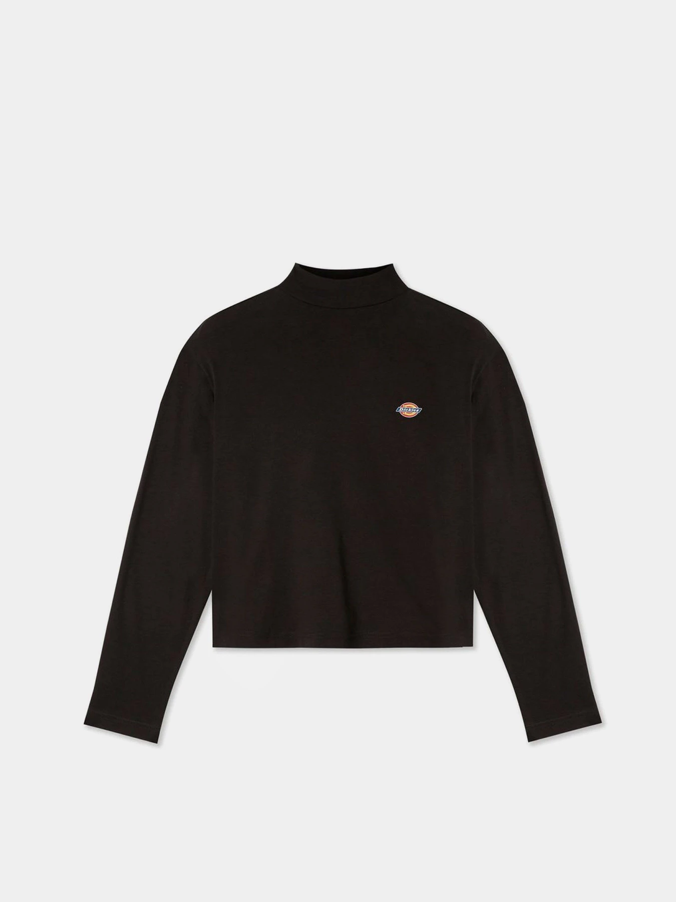 Худи и свитшоты Dickies Mapleton High Neck модель DK0A4Y2JBLK1 Фото