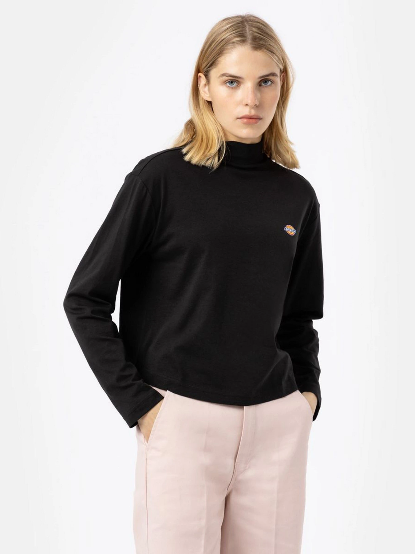 Худи и свитшоты Dickies Mapleton High Neck модель DK0A4Y2JBLK1 Фото