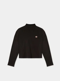 Худи и свитшоты Dickies Mapleton High Neck модель DK0A4Y2JBLK1 Фото