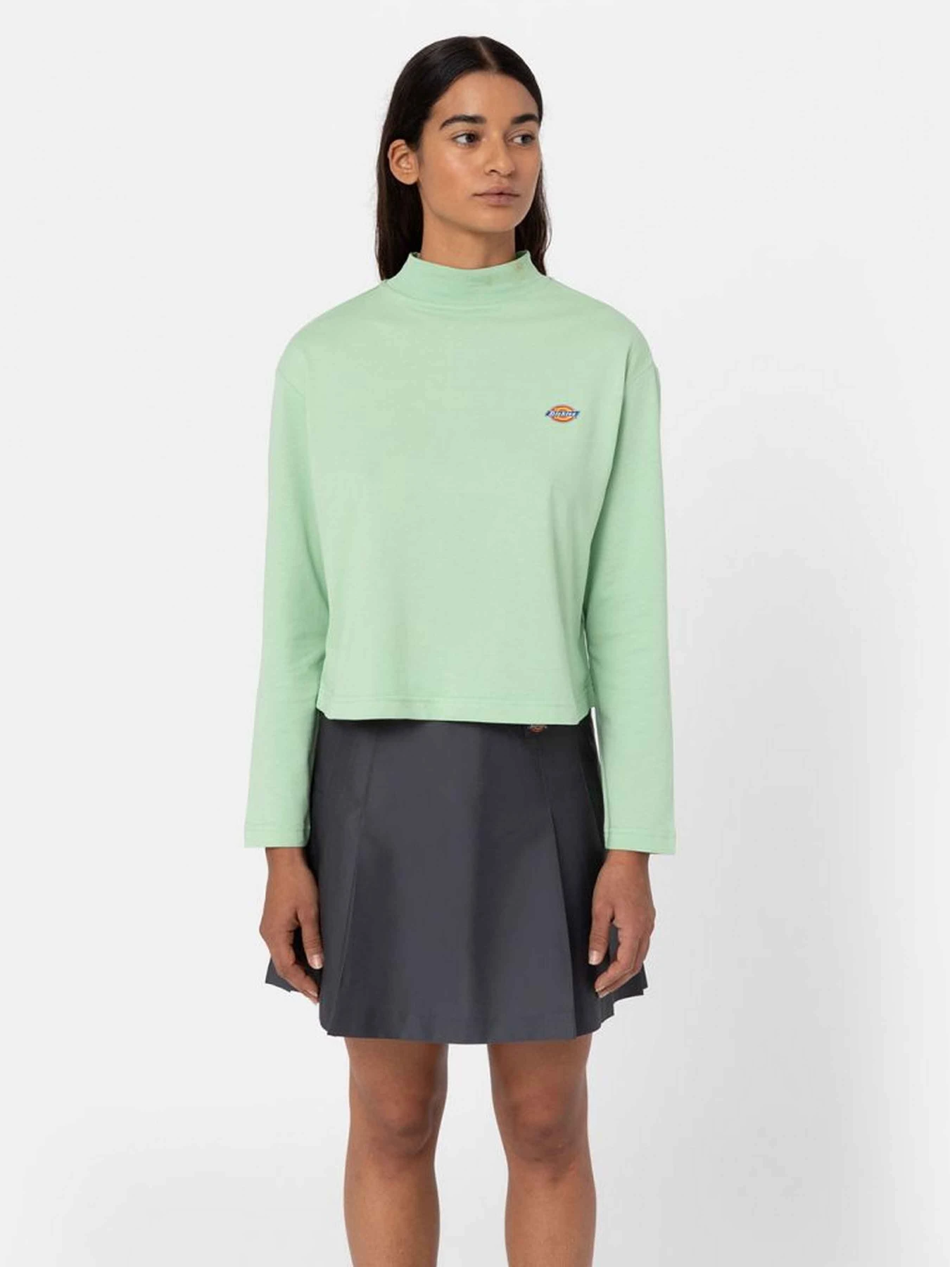 Худи и свитшоты Dickies Mapleton High Neck модель DK0A4Y2JF921 Фото