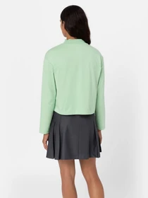Худи и свитшоты Dickies Mapleton High Neck модель DK0A4Y2JF921 Фото
