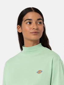Худи и свитшоты Dickies Mapleton High Neck модель DK0A4Y2JF921 Фото